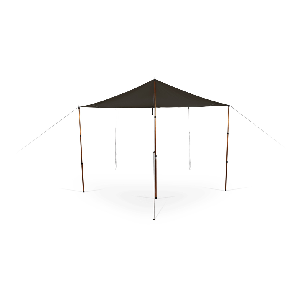 3.webp