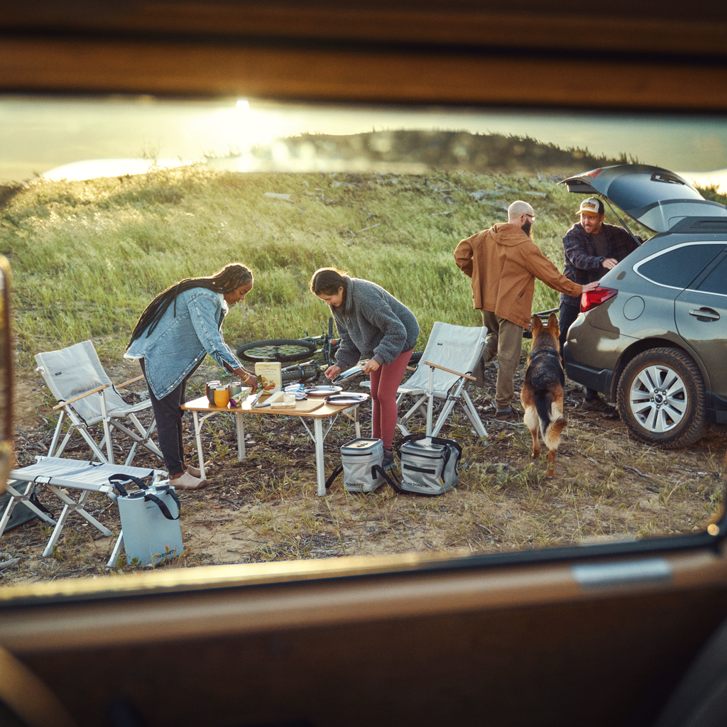 de_perfecte_picknick.webp